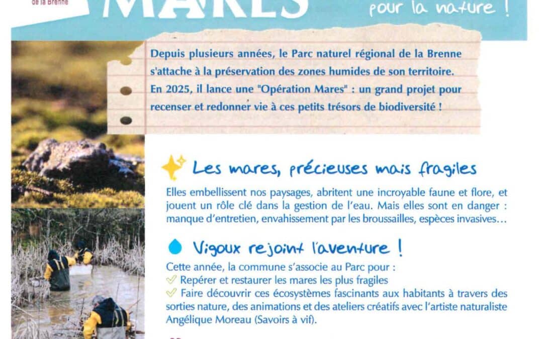 Opération Mares : Vigoux s’engage pour la nature !
